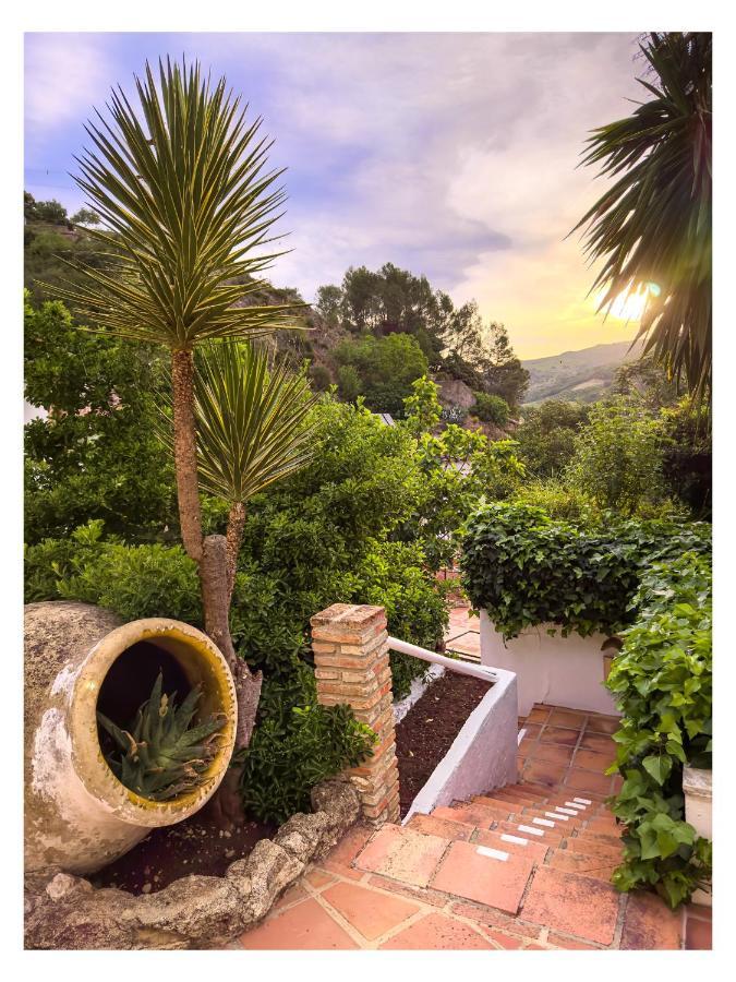 ホテル Molino Del Santo Benaoján エクステリア 写真