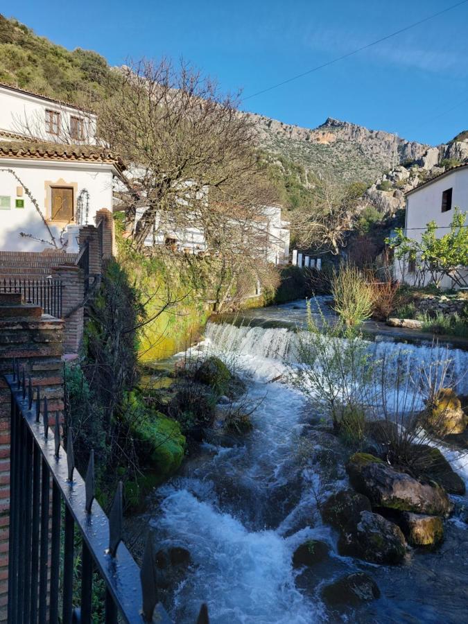 ホテル Molino Del Santo Benaoján エクステリア 写真